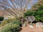 5 Ridge Ter Asheville, NC 28804