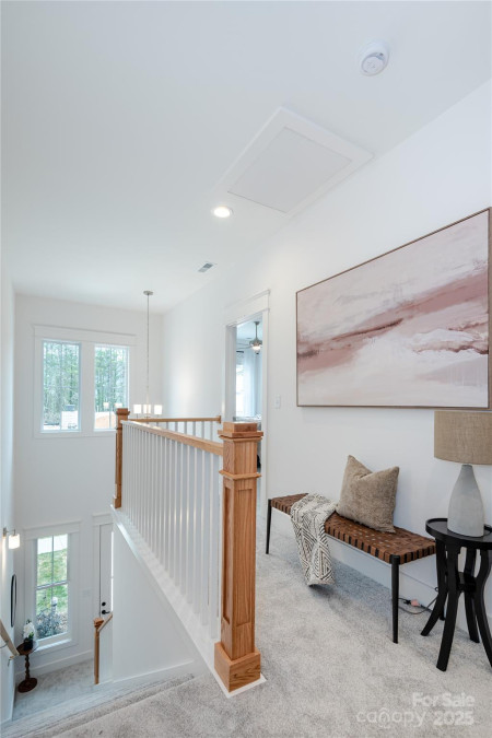 155 Collin Pl Asheville, NC 28804