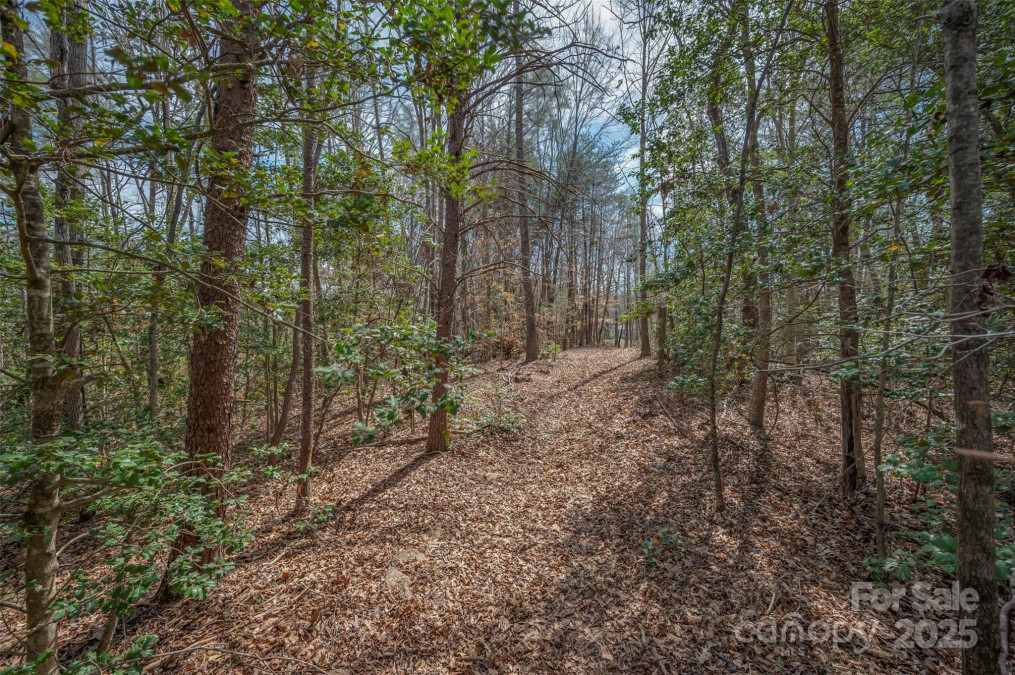 582 County Line Rd Rutherfordton, NC 28139