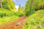 2102 Walnut Creek Rd Marshall, NC 28753