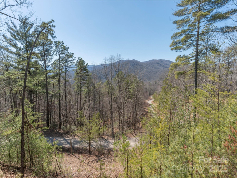 410 Dream Valley Dr Clyde, NC 28721