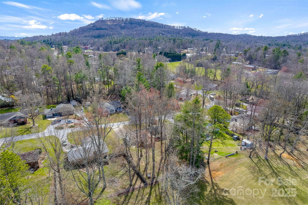 110 Cannon Dr Hendersonville, NC 28792