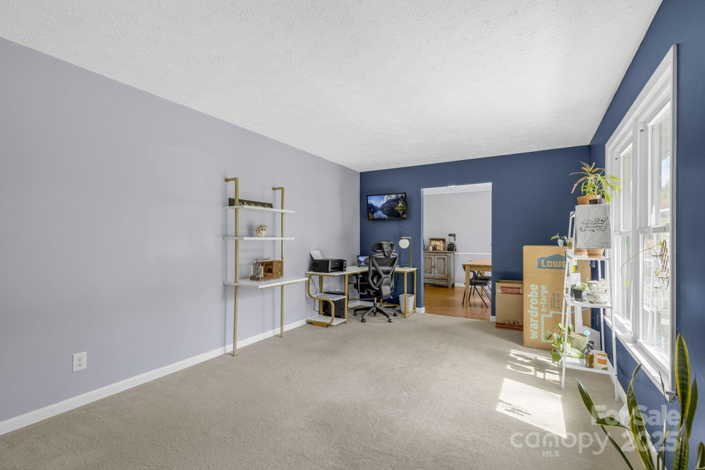 110 Cannon Dr Hendersonville, NC 28792