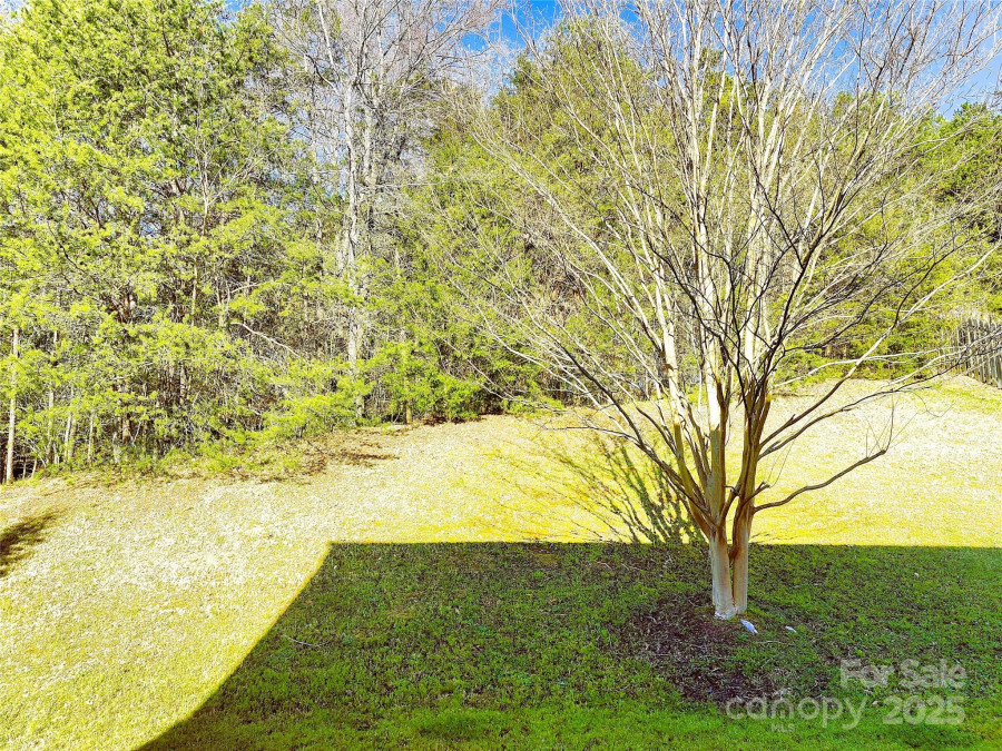 1923 Caprington Dr Fort Mill, SC 29707