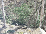 97 Hughes Dr Maggie Valley, NC 28751