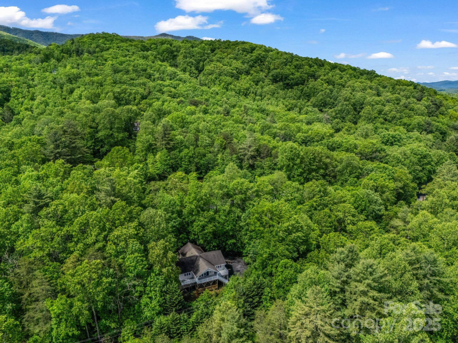 153 Old Lakey Gap Rd Black Mountain, NC 28711