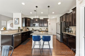 10773 Sapphire Trl Davidson, NC 28036