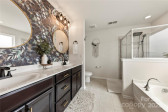 10773 Sapphire Trl Davidson, NC 28036