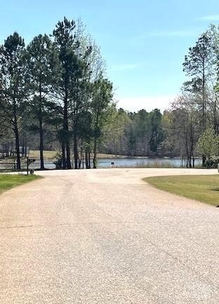 201 Fancy Lady Ct York, SC 29745