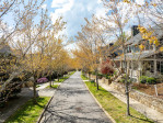 36 Wordsworth Rd Black Mountain, NC 28711