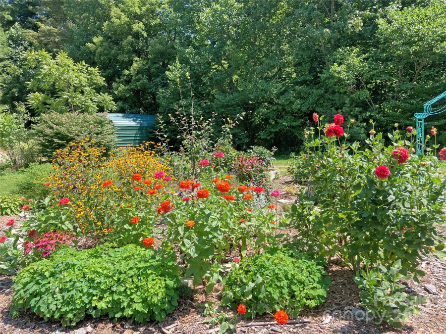 3719 Upper Shut In Rd Hot Springs, NC 28743