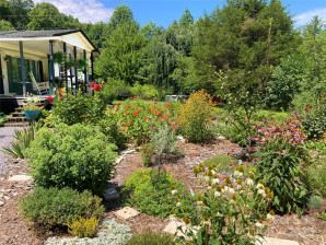 3719 Upper Shut In Rd Hot Springs, NC 28743