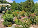 3719 Upper Shut In Rd Hot Springs, NC 28743