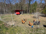 3719 Upper Shut In Rd Hot Springs, NC 28743