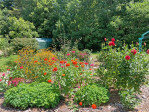 3719 Upper Shut In Rd Hot Springs, NC 28743