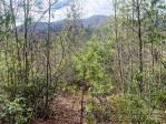3719 Upper Shut In Rd Hot Springs, NC 28743