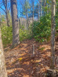 3719 Upper Shut In Rd Hot Springs, NC 28743