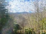 3719 Upper Shut In Rd Hot Springs, NC 28743