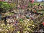 413 Morganton St Valdese, NC 28690