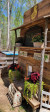368 Northwood Dr Troy, NC 27371