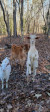 368 Northwood Dr Troy, NC 27371