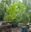 368 Northwood Dr Troy, NC 27371
