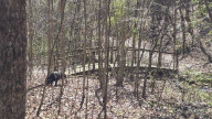 368 Northwood Dr Troy, NC 27371