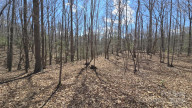 368 Northwood Dr Troy, NC 27371