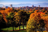 288 Macon Ave Asheville, NC 28804