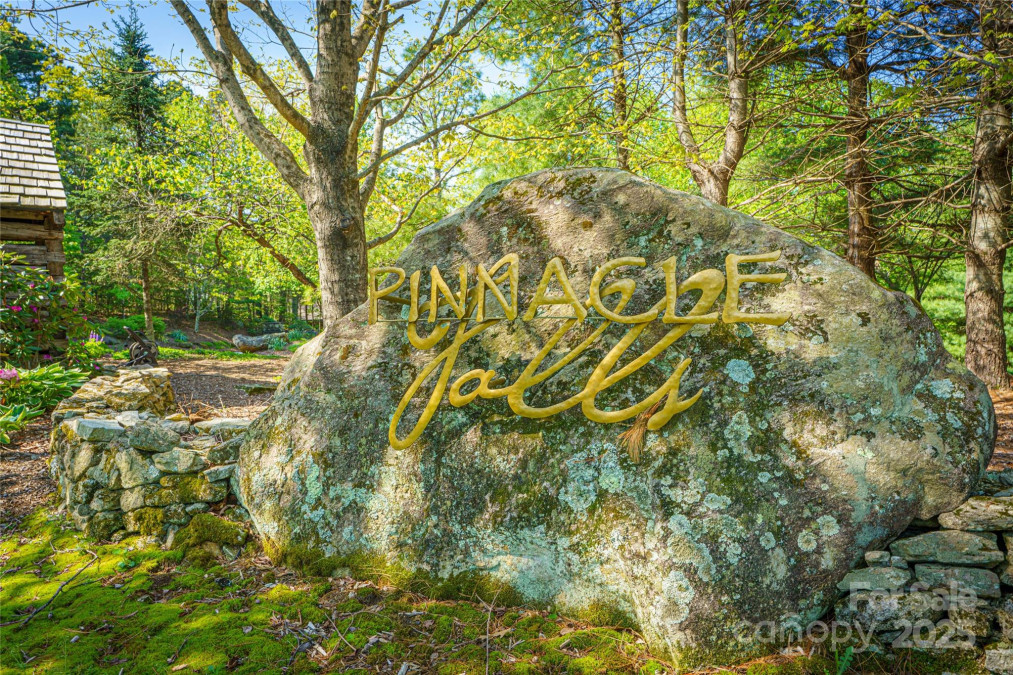 29 Wild Deer Trl Zirconia, NC 28790