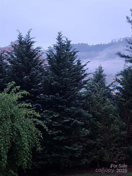 34 Legacy Mountain Trl Fletcher, NC 28732