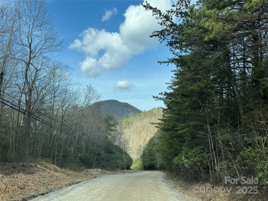 180 Dalton Ln Black Mountain, NC 28711