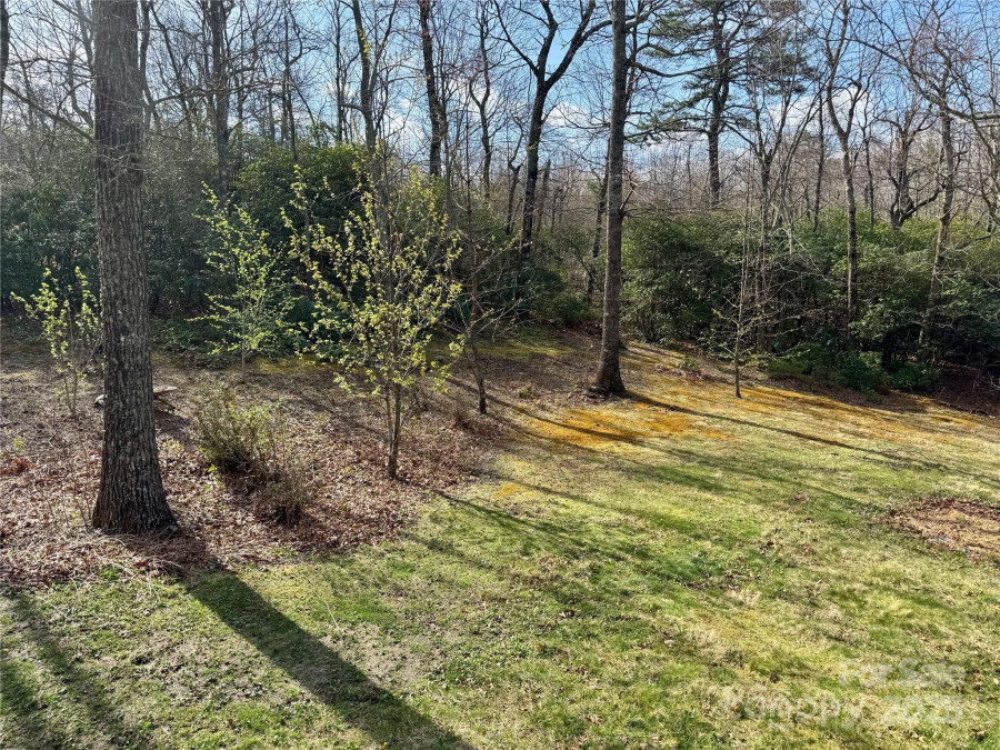 180 Dalton Ln Black Mountain, NC 28711