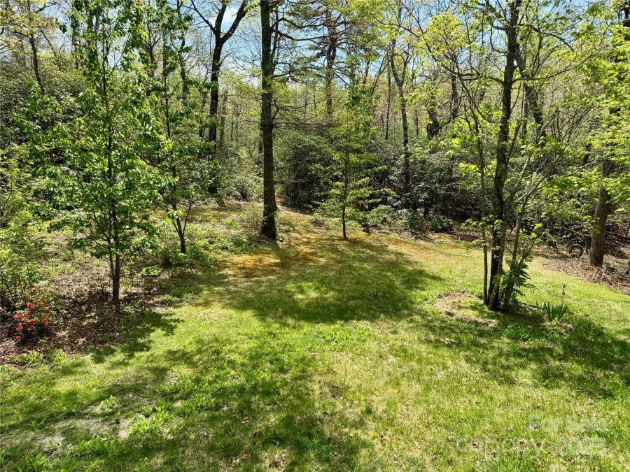 180 Dalton Ln Black Mountain, NC 28711