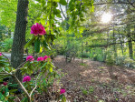 188 Echo Dr Laurel Park, NC 28739
