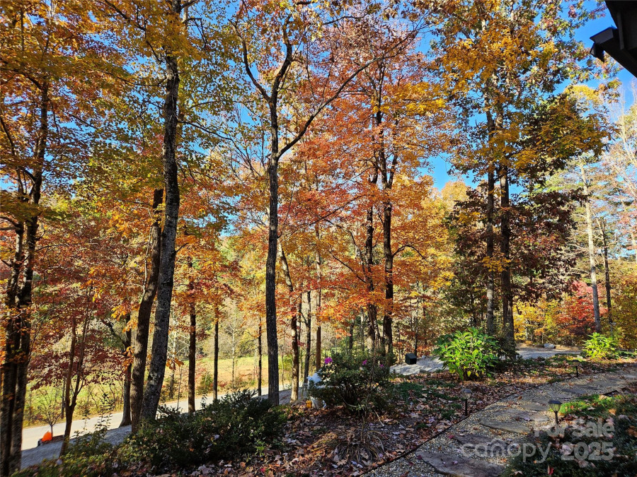 3934 Cabin Creek Rd Zirconia, NC 28790