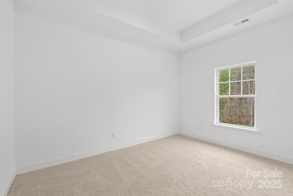 184 Cherry Springs Ln Asheville, NC 28804