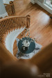 7005 Camrose Crossing Ln Matthews, NC 28104