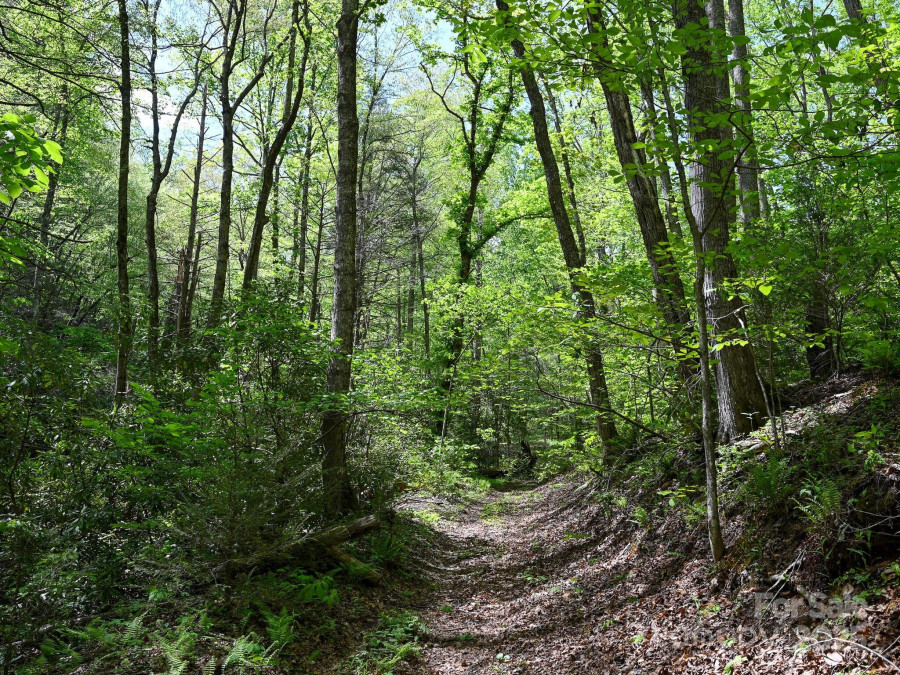 212 Rosy Branch Farm Rd Black Mountain, NC 28711