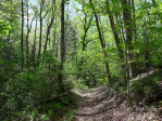 212 Rosy Branch Farm Rd Black Mountain, NC 28711