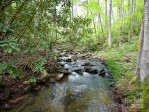 212 Rosy Branch Farm Rd Black Mountain, NC 28711
