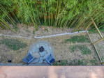 18 Covington St Asheville, NC 28806