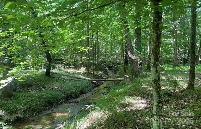 926 Cross Creek Dr Rutherfordton, NC 28139