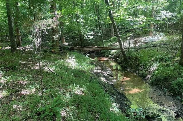 926 Cross Creek Dr Rutherfordton, NC 28139