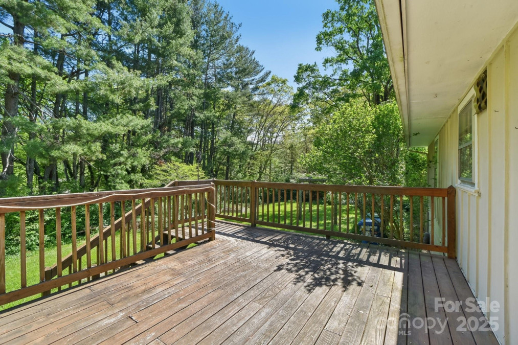 19 Clement Pl Asheville, NC 28805