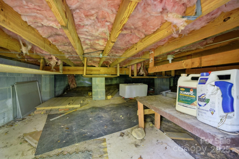 19 Clement Pl Asheville, NC 28805