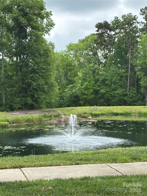 9027 Mcdowell Creek Ln Cornelius, NC 28031