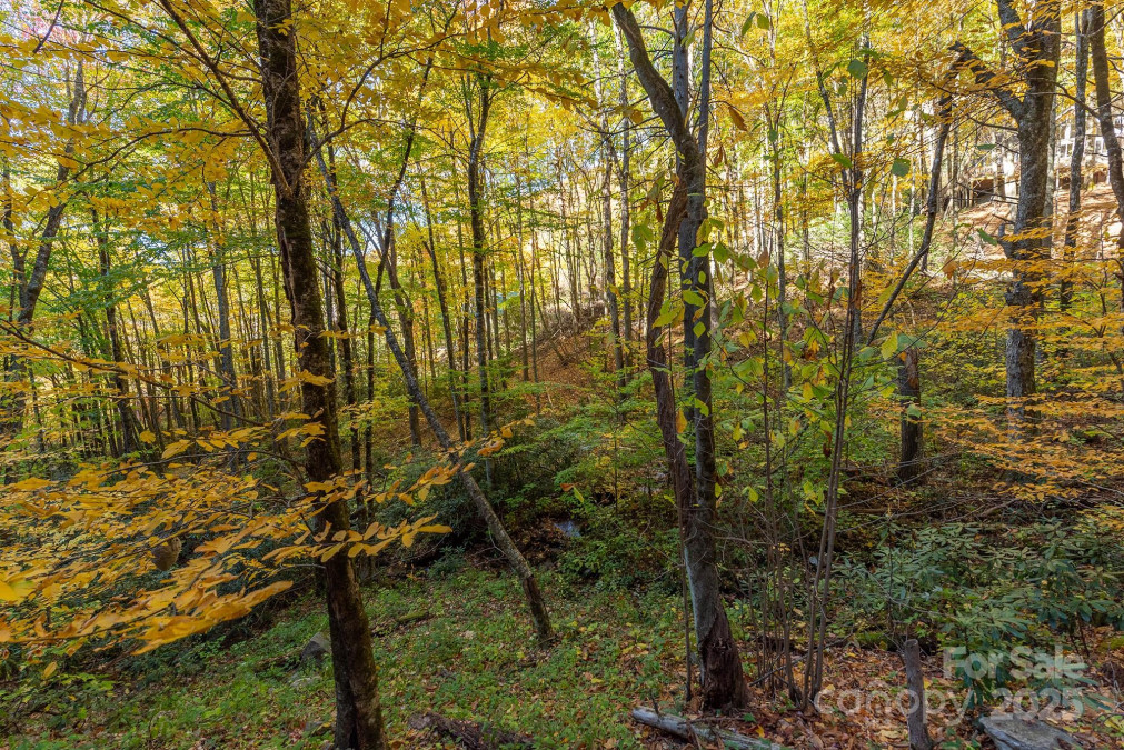100 Candlemaker Trl Maggie Valley, NC 28751