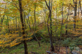 100 Candlemaker Trl Maggie Valley, NC 28751
