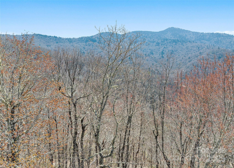 173 Blizzard Rg Maggie Valley, NC 28751